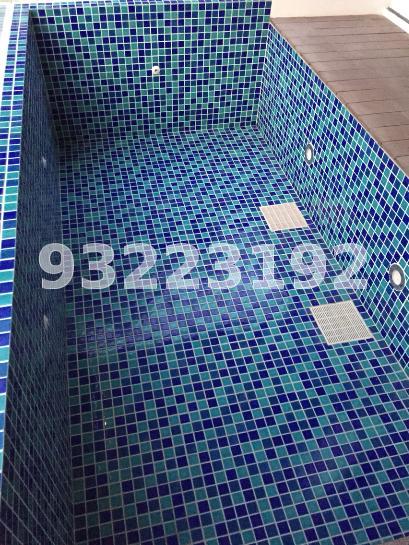 Daisy Suites (D13), Apartment #63404012